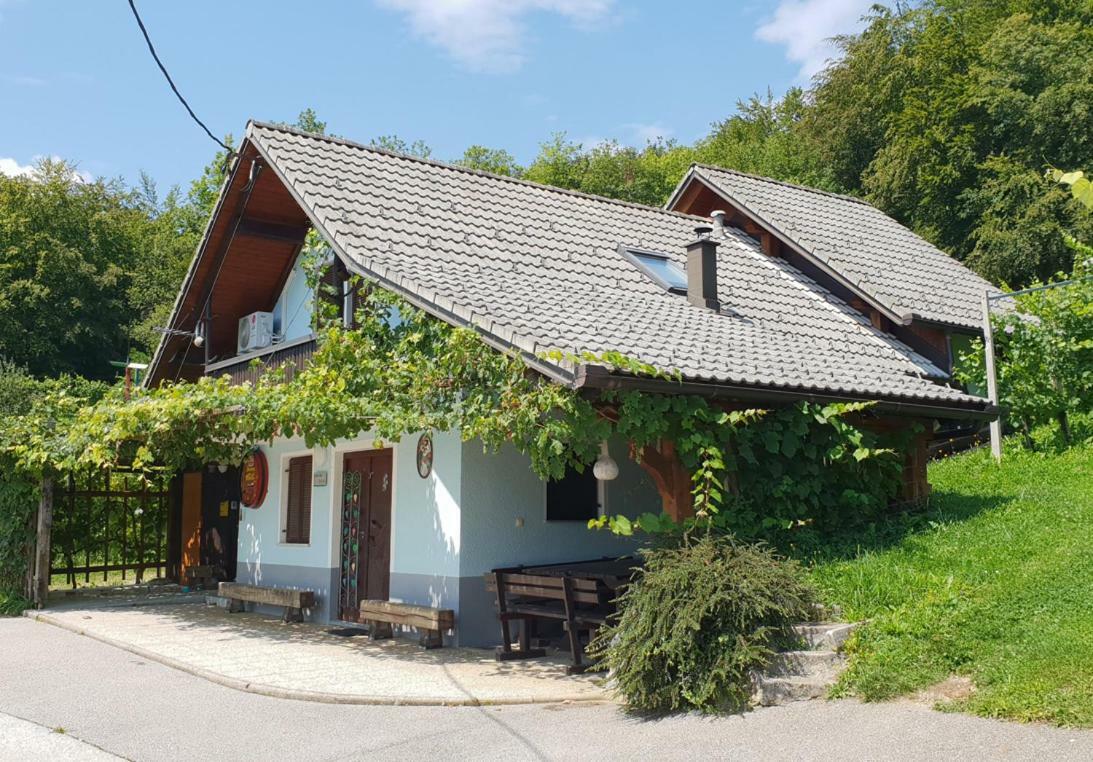 Zidanica Meglic - Vineyard Cottage Meglic Trebnje Εξωτερικό φωτογραφία