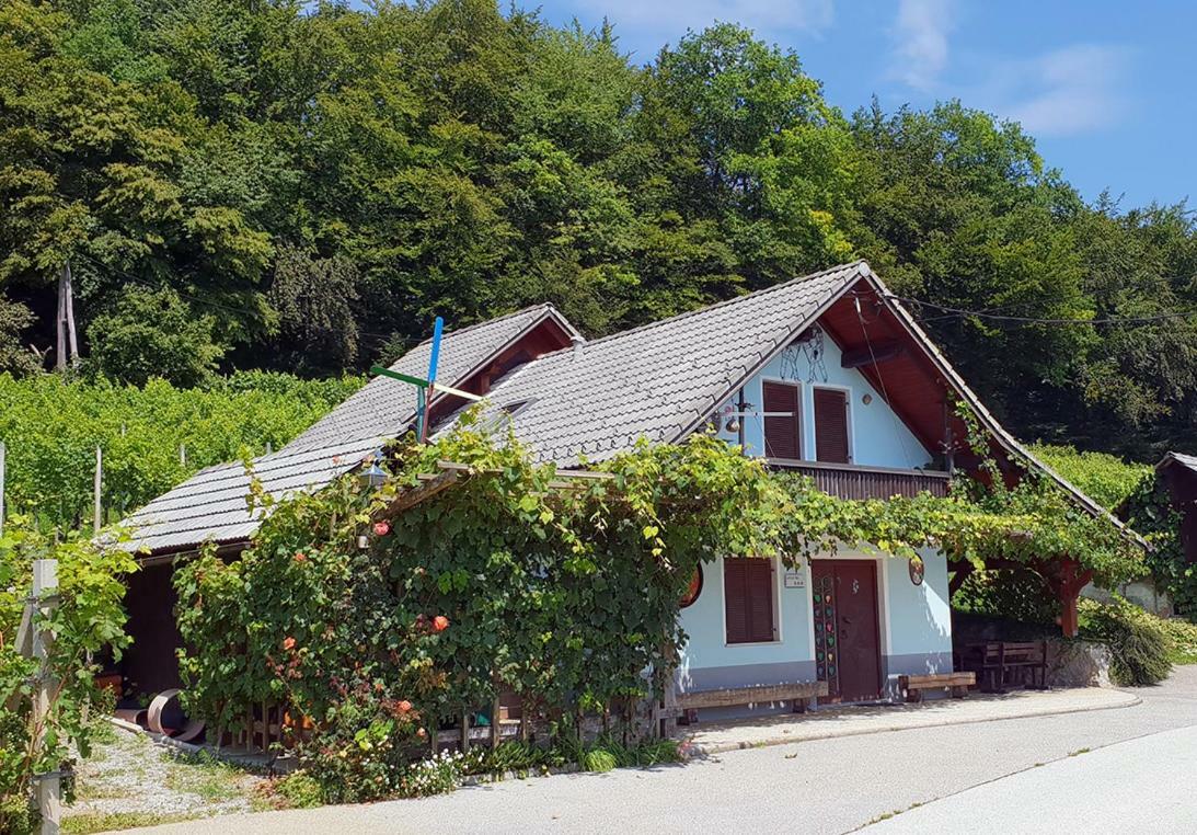Zidanica Meglic - Vineyard Cottage Meglic Trebnje Εξωτερικό φωτογραφία